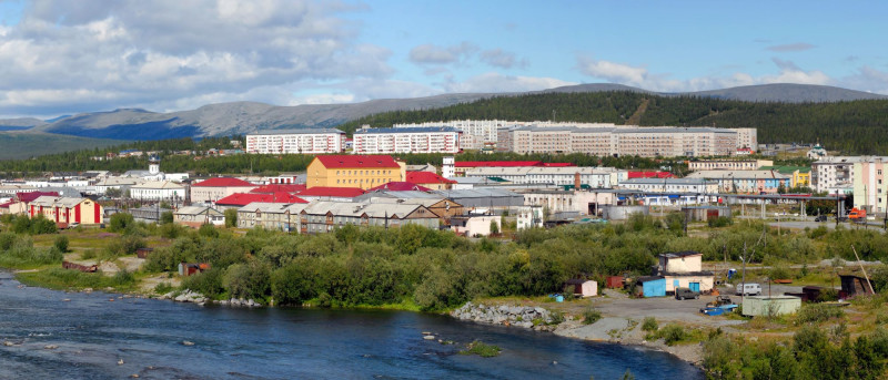 Χαρπ της ρωσικής Αρκτικής, στην περιφέρειας του Γιάμαλο-Νένετς