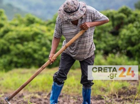 Σε εγγραφή στο φυτοϋγειονομικό μητρώο καλεί τους παραγωγούς ο Αγροτικός Σύλλογος Ιεράπετρας