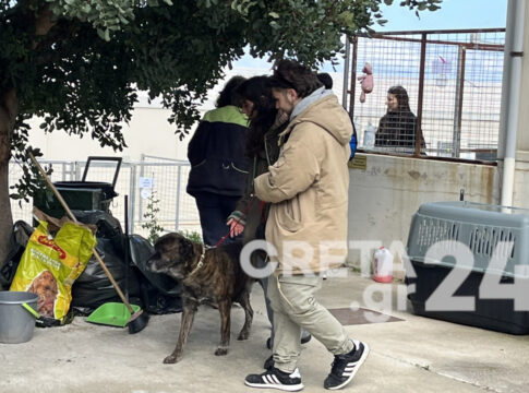 «Σκυλοβόλτα»: Πέρασαν την Κυριακή τους παρέα με τα τετράποδα του δημοτικού κυνοκομείου