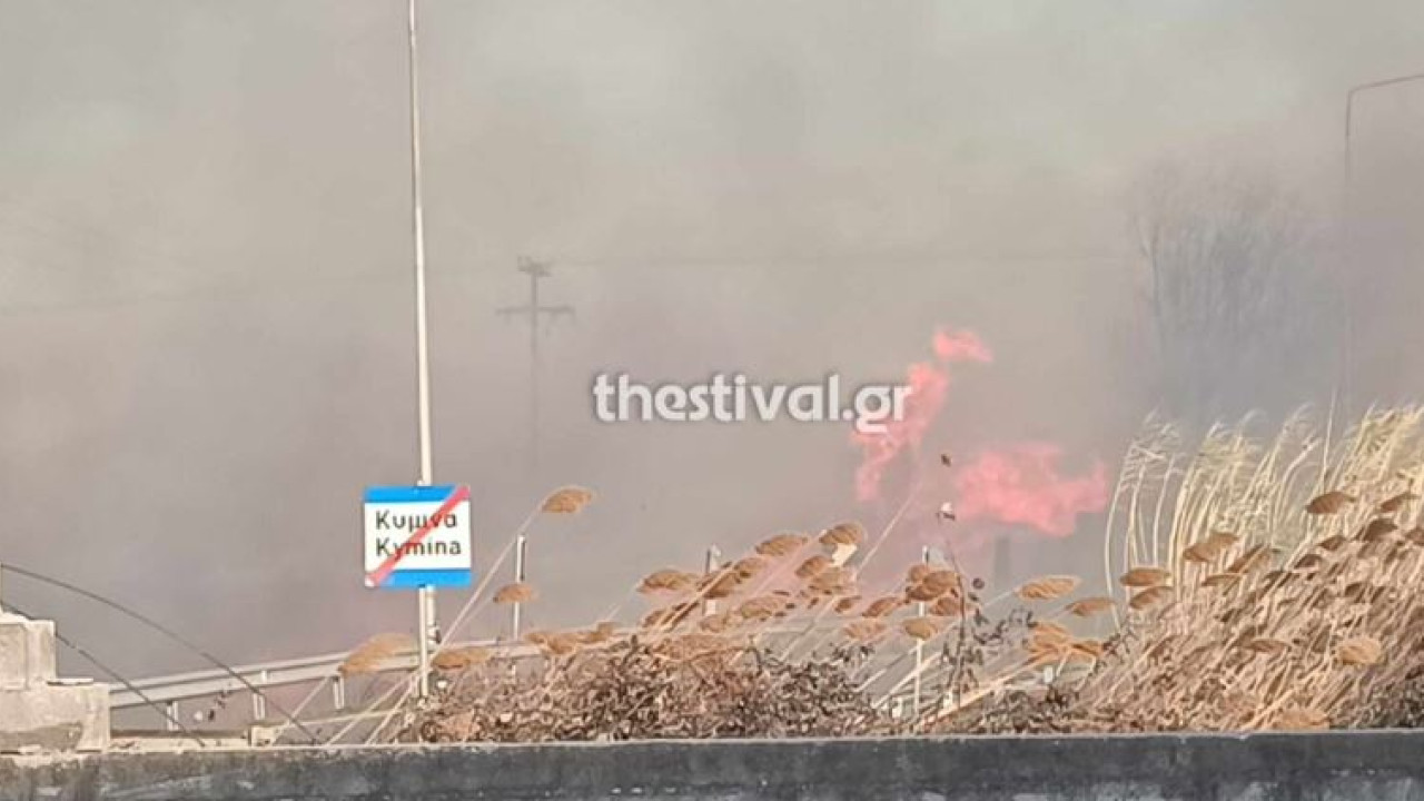 Θεσσαλονίκη: Πυρκαγιά στο χωριό Κύμινα