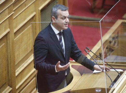 Την άμεση παρέμβαση της Πολιτείας για να σωθεί το Φοινικόδασος του Βάι από το κόκκινο σκαθάρι, ζητάει ο Χ. Μαμουλάκης