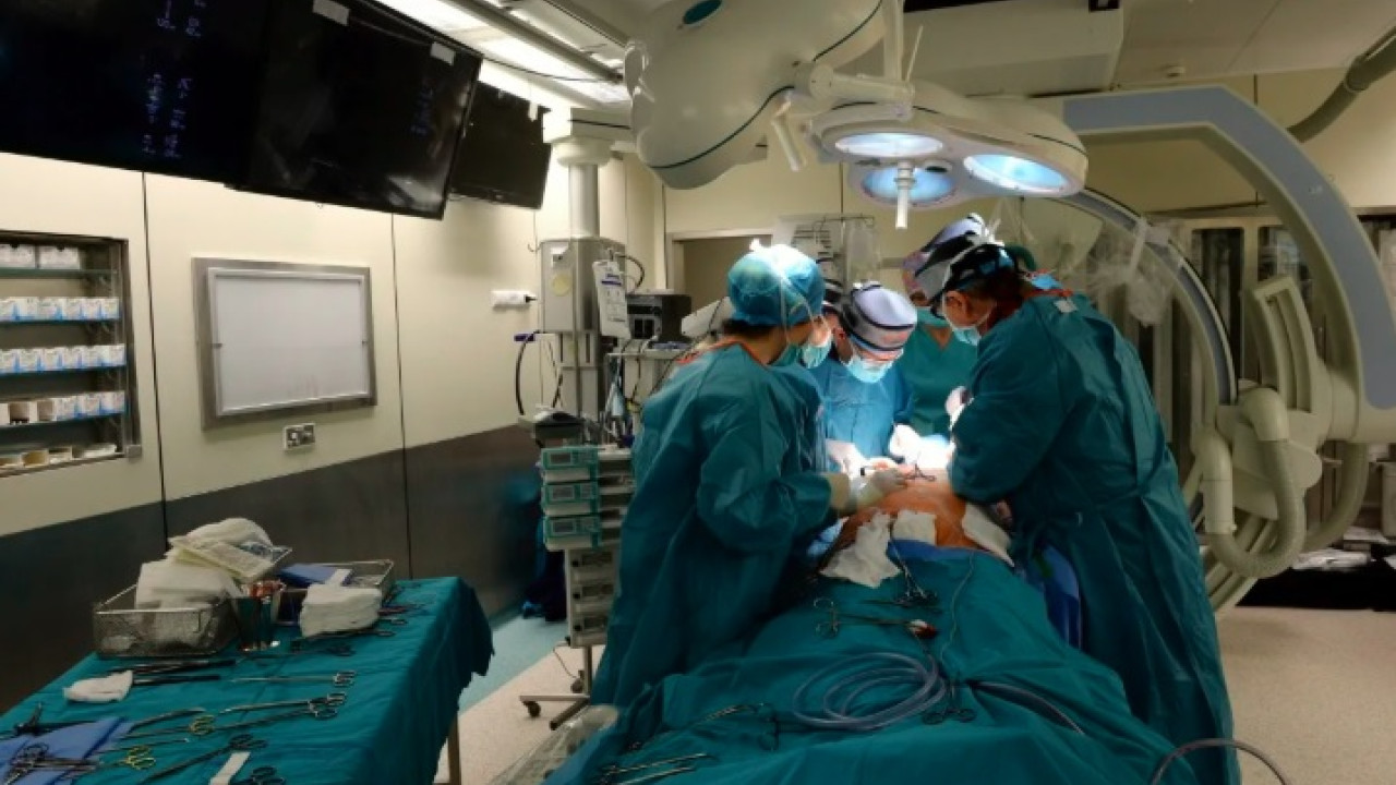 ΗΠΑ: Πρώτη μεταμόσχευση νεφρού από γεννετικά τροποποιημένο γουρούνι σε ζωντανό άνθρωπο