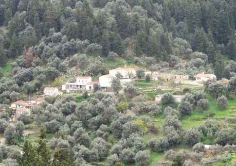 Κανονισμός πυροπροστασίας ακινήτων εντός ή πλησίον δασικών εκτάσεων – Οι προθεσμίες για τις δηλώσεις στο δ. Χανίων