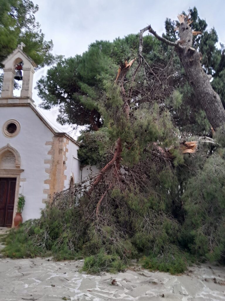 Χανιά: Οι ισχυροί άνεμοι έσπασαν κλαδιά στο εκκλησάκι του Προφήτη Ηλία