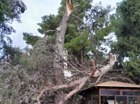 Kρήτη: Ισχυροί άνεμοι έσπασαν δέντρα – Καταπλάκωσαν εκκλησάκι