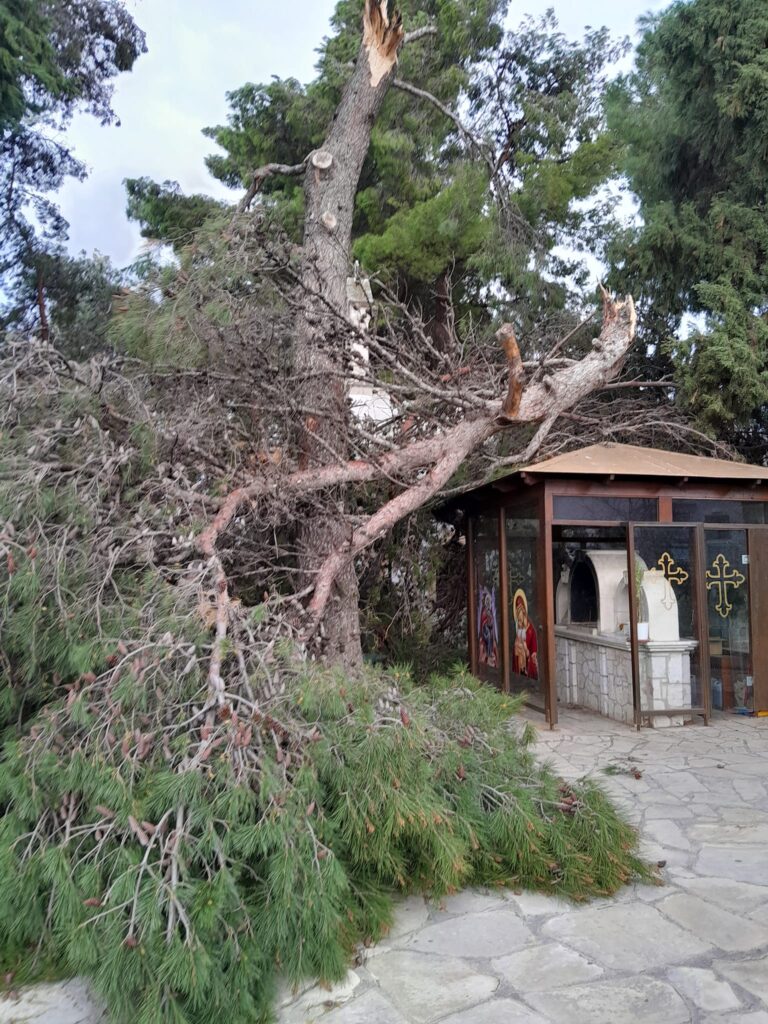 Χανιά: Οι ισχυροί άνεμοι έσπασαν κλαδιά στο εκκλησάκι του Προφήτη Ηλία