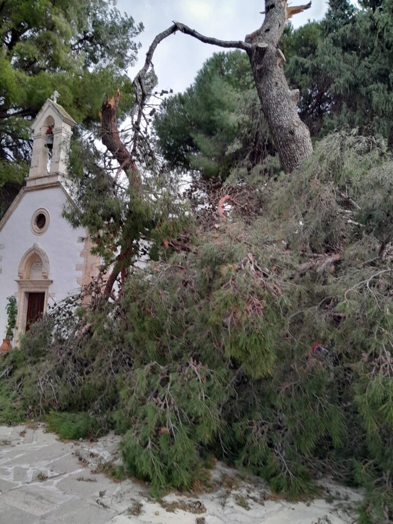 Χανιά: Οι ισχυροί άνεμοι έσπασαν κλαδιά στο εκκλησάκι του Προφήτη Ηλία