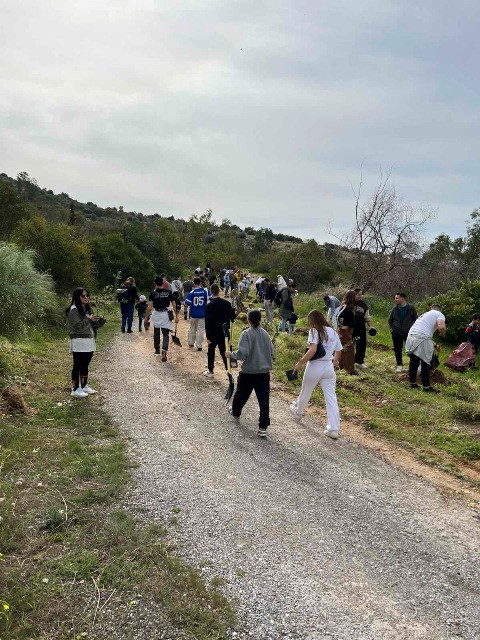 Δενδροφύτευση
