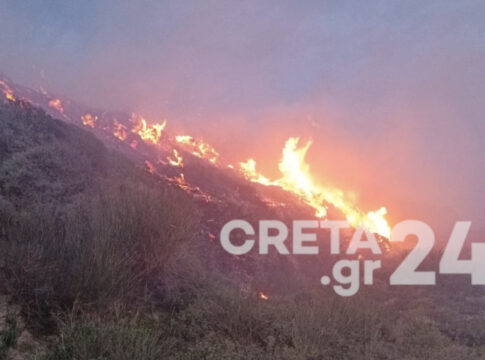 Σε ύφεση η φωτιά στη Σητεία
