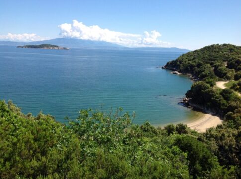 Απαγόρευση κυκλοφορίας σε περιοχές NATURA, δασικά οικοσυστήματα, πάρκα και άλση