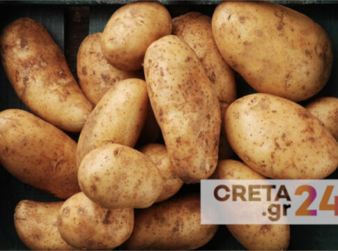 Από βρώσιμο χόρτο της Κρήτης η λύση στον μύκητα που καταστρέφει την παγκόσμια παραγωγή πατάτας με απώλειες 2,75 δις