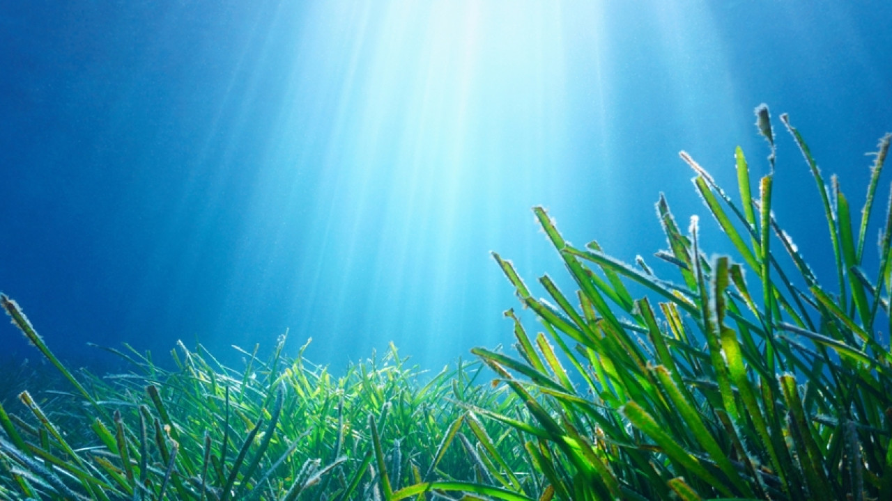 Αυγενάκης: Η υγεία θαλασσών και ωκεανών είναι συνολική υγεία στον πλανήτη