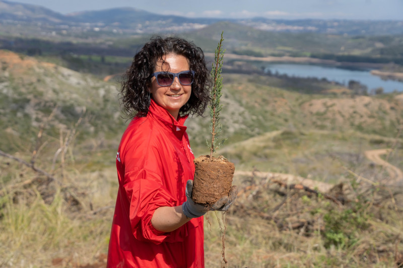 GENERAL MANAGER HENKEL CONSUMER BRANDS