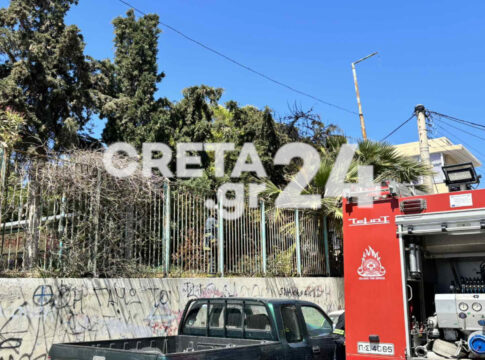 Ηράκλειο: Συναγερμός στην Πυροσβεστική για φωτιά σε δέντρα σχολείου
