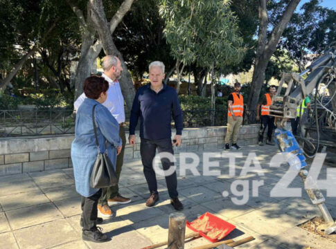 Ο “πρεμνοφάγος”, οι νέες φυτεύσεις και τα επικίνδυνα δέντρα στο Ηράκλειο