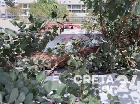 Προβλήματα από τους ισχυρούς ανέμους στην Κρήτη – Δέντρο έπεσε πάνω σε αυτοκίνητα