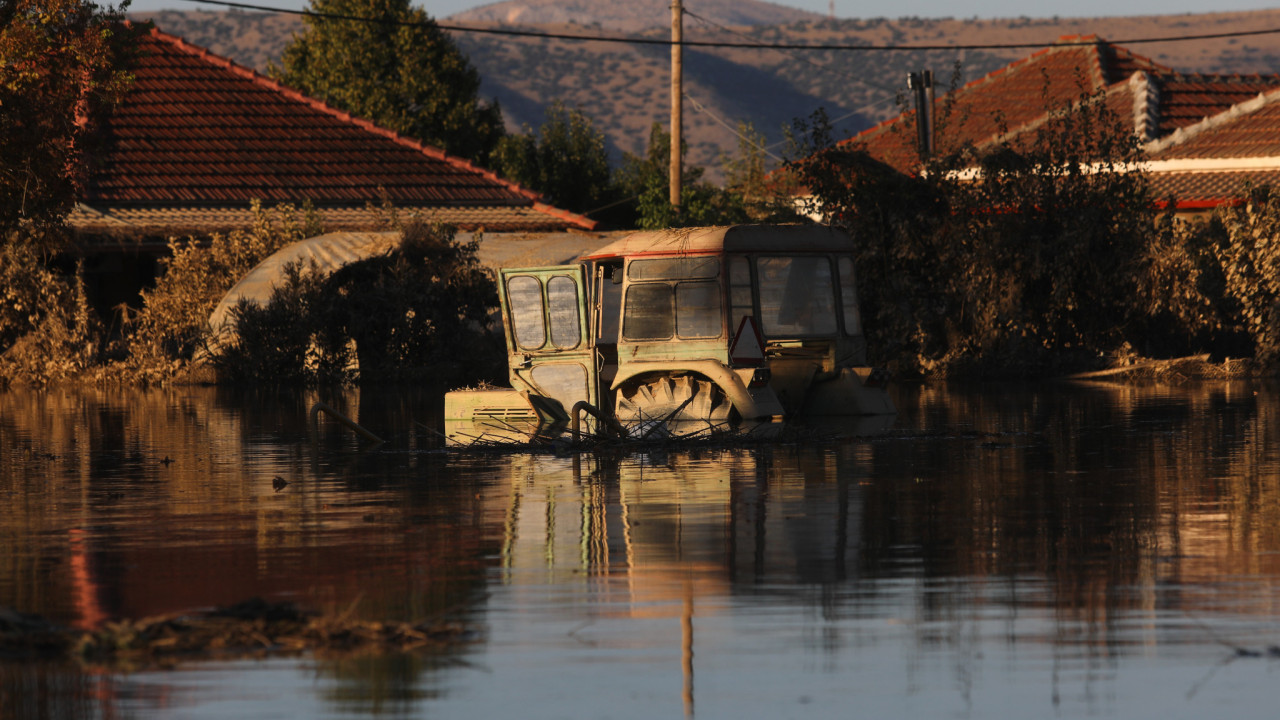 Θεσσαλία: Μέσα Ιουλίου οι αποζημιώσεις στους πλημμυροπαθείς κτηνοτρόφους