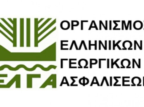 Xανιά: Ξεκίνησαν οι δηλώσεις για ζημιές σε καλλιέργειες από την χθεσινή ανεμοθύελλα