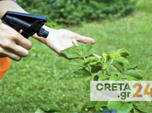 2,6 τόνοι φυτοφαρμάκων καταναλώνονται καθημερινά στην Κρήτη – Σημαντική ημερίδα για τις επιπτώσεις σε υγεία και περιβάλλον