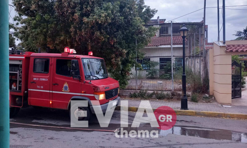 Εύβοια: Φωτιά σε εγκαταλελειμμένο κινηματοθέατρο στο Βασιλικό Χαλκίδας (φωτό)