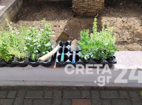 «Green School by Τράπεζα Χανίων» για την ενδυνάμωση της περιβαλλοντικής συνείδησης των μαθητών