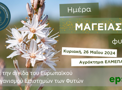 Ημέρα Μαγείας Φυτών στο Ελληνικό Μεσογειακό Πανεπιστήμιο