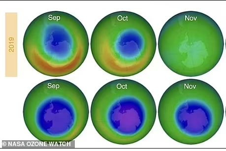 Καίγονται τα ζώα στην Ανταρκτική - Εκτεθειμένα στην τρύπα του όζοντος
