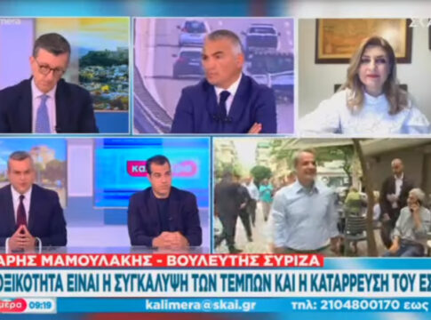 Μαμουλάκης: «Η ΝΔ επιχειρεί να πολώσει το κλίμα ενόψει των Ευρωεκλογών, ενισχύοντας την τοξικότητα»