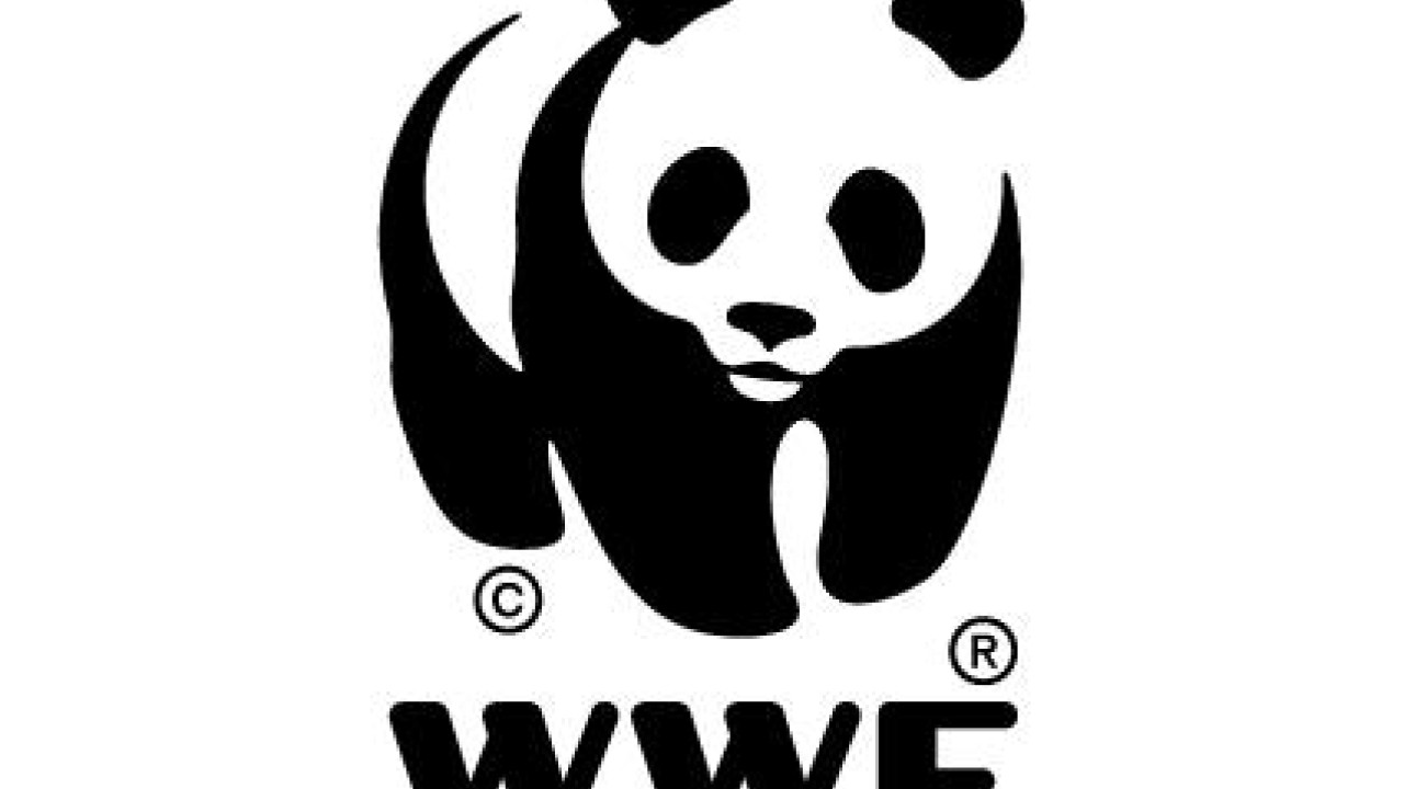 Πρόγραμμα της WWF Ελλάς για τη συλλογή σπόρων