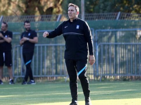 Υπηρεσιακός προπονητής της Εθνικής ο Ν. Παπαδόπουλος