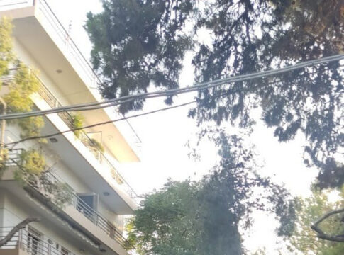 Αποφασισμένη να προχωρήσει άμεσα στην κοπή των επικίνδυνων δέντρων η δημοτική αρχή Ηρακλείου