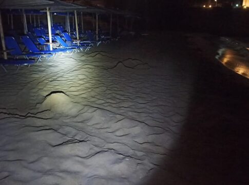 Φωλιά θαλάσσιας χελώνας και στη παραλία του Καλαθά