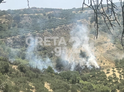 Ηράκλειο: Μια σύλληψη για τη φωτιά που έκανε «στάχτη» δασική έκταση