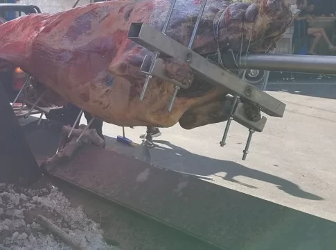 Κρήτη: Σούβλισαν ταύρο για τη γιορτή του Αγίου Πνεύματος – Έντονες αντιδράσεις