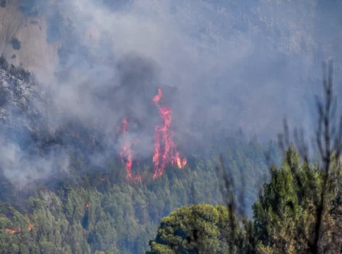 Κρήτη: Υψηλός κίνδυνος πυρκαγιάς την Τρίτη