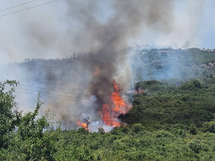 Φωτιά στην Αργολίδα
