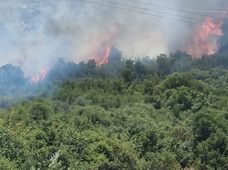 Φωτιά στην Αργολίδα