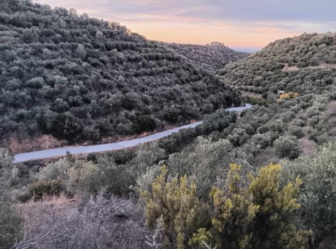 Περισσότερα από 1.800.000 ευρώ για τσιμεντοστρώσεις σε περιαστικές περιοχές του Δήμου Χανίων – Σε εξέλιξη οι εργασίες