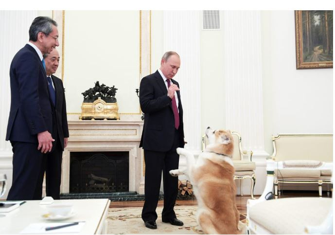 Βλαντίμιρ Πούτιν