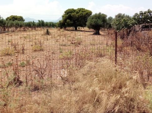 Δήμος Βιάννου: Παράταση προθεσμίας υποβολής δηλώσεων καθαρισμού οικοπέδων εντός οικισμών