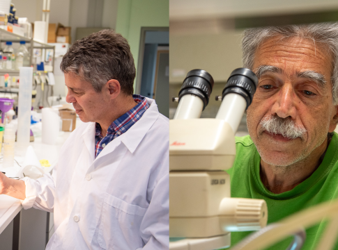 Δύο Ερευνητές του ΙΤΕ εκλέγονται στον Ευρωπαϊκό Οργανισμό Μοριακής Βιολογίας (ΕΜΒΟ) 