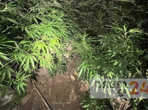 Δύο συλλήψεις από την αστυνομική επιχείρηση στα Ζωνιανά – Τι εντόπισαν οι αστυνομικοί