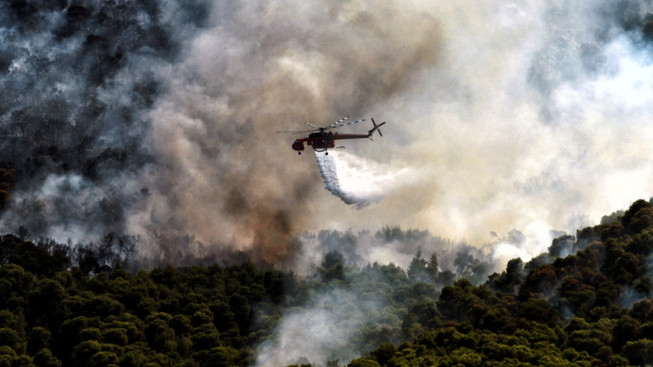 Φωτιά σε δασική έκταση στην Αλεξανδρούπολη