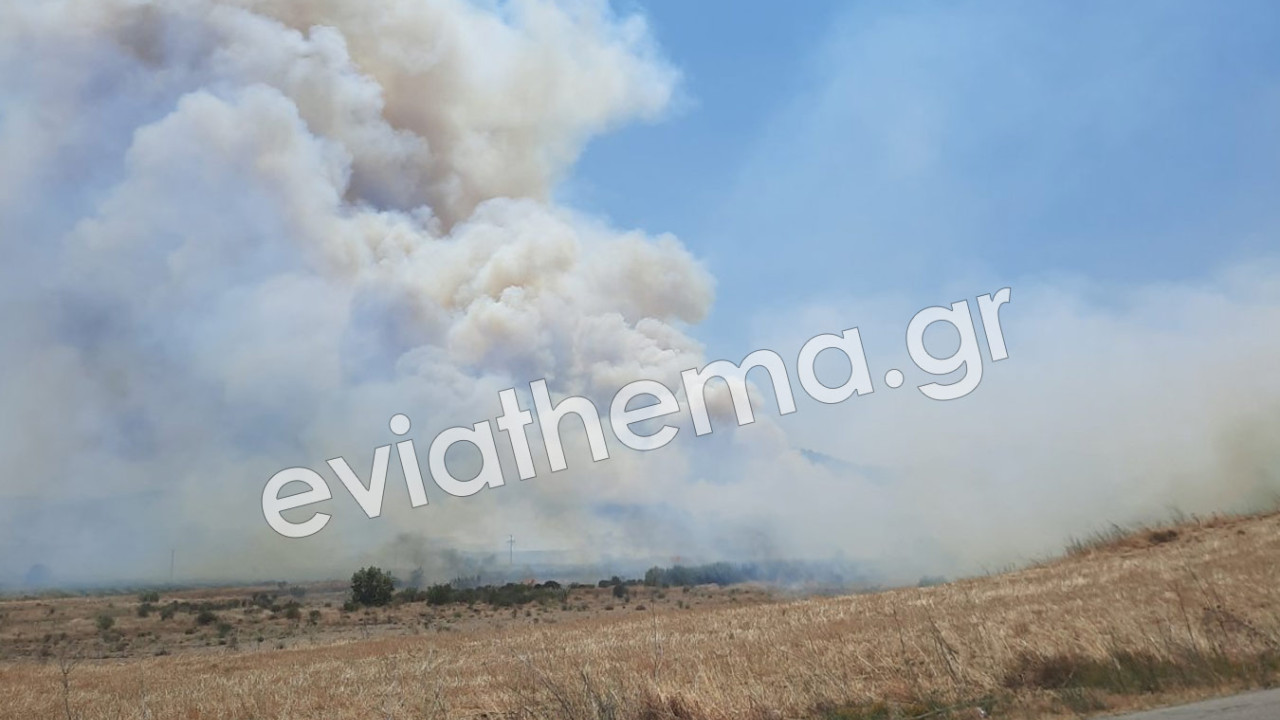 Φωτιά στην Εύβοια και τον Ασπρόπυργο