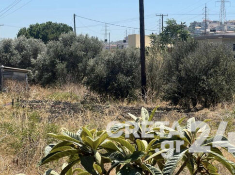Hράκλειο: Πρόλαβαν τη φωτιά οι πυροσβέστες