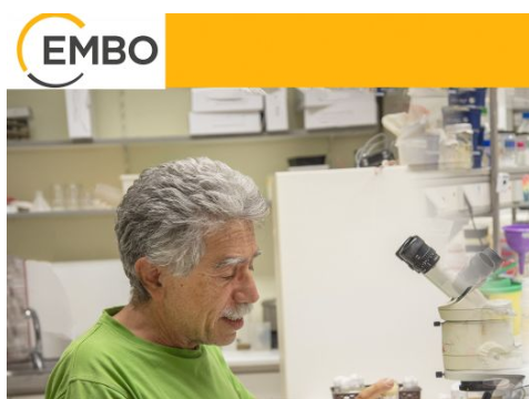 Η πρυτανεία του Πανεπιστημίου Κρήτης συγχαίρει τον Καθηγητή Χρήστο Δελιδάκη