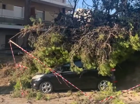 Ηράκλειο: Δέντρο έπεσε πάνω σε αυτοκίνητο