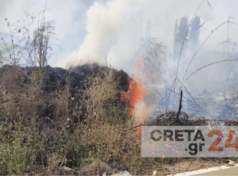 Ηράκλειο: Συναγερμός στην Πυροσβεστική για φωτιά σε οικόπεδο με καλάμια