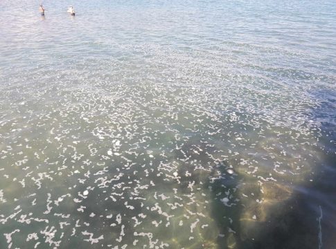 Kρήτη: Γέμισε λύματα η θάλασσα (εικόνες)