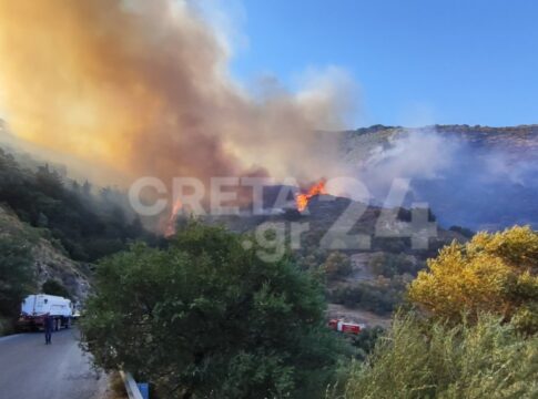 Κρήτη: Mία σύλληψη για την μεγάλη πυρκαγιά
